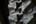Excavator Rubber Tracks